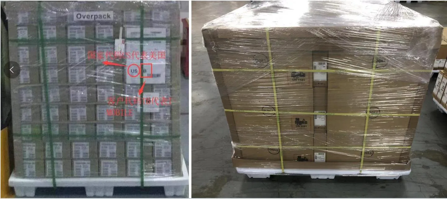 Wrapped pallet cargo prepared for cold chain shipment